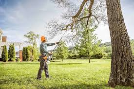 Annetta, TX Tree Services Company